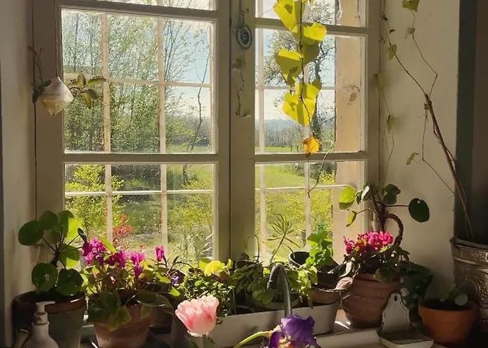 Ostria Vento Bed & Breakfast Medesano