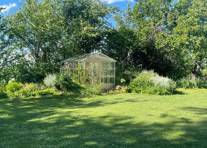 Ostria Vento Medesano