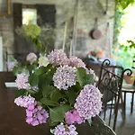Ostria Vento