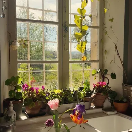 Ostria Vento Bed & Breakfast Medesano