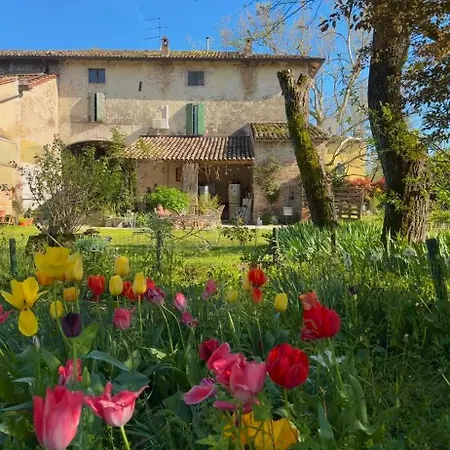 Bed & Breakfast Ostria Vento Medesano