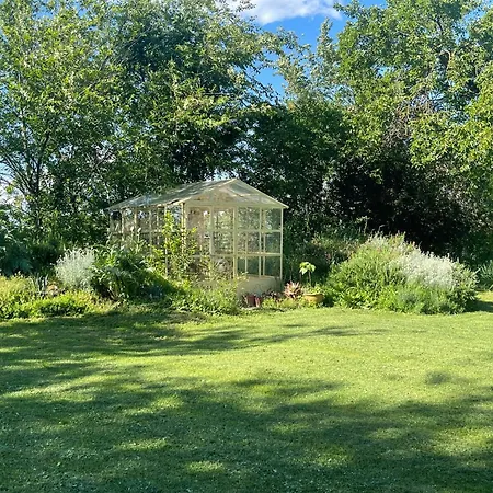 Ostria Vento Medesano