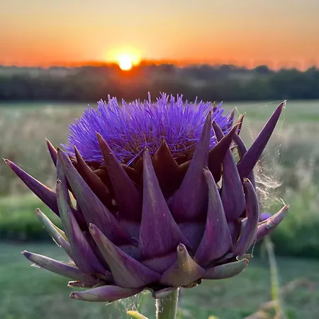 Bed & Breakfast Ostria Vento *