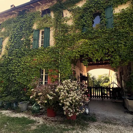 Ostria Vento * Medesano