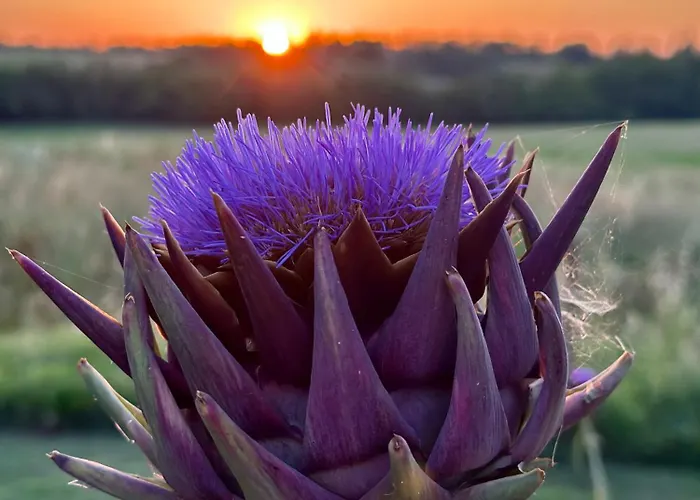 Nocleg ze śniadaniem Ostria Vento *